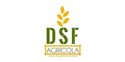 DSF
